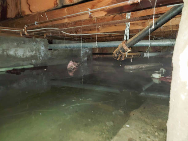 Best Water damage restoration near me  in Mar Mac, NC